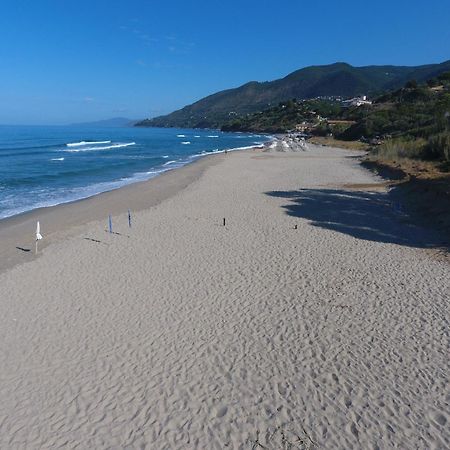 Residence Le Palme - Appartamenti Sul Mare - Spiaggia Tra Palinuro E Caprioli 皮肖塔 外观 照片