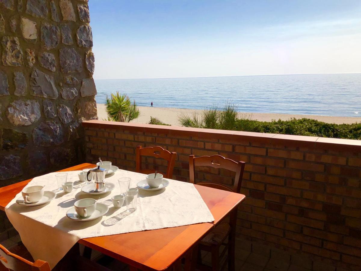 Residence Le Palme - Appartamenti Sul Mare - Spiaggia Tra Palinuro E Caprioli 皮肖塔 外观 照片