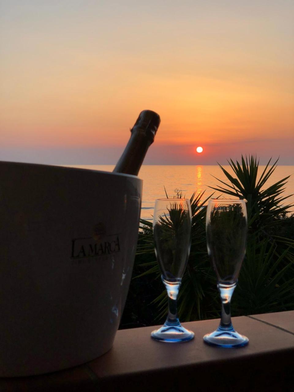 Residence Le Palme - Appartamenti Sul Mare - Spiaggia Tra Palinuro E Caprioli 皮肖塔 外观 照片